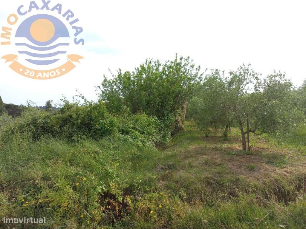 Terreno com Ruína para recuperar - Grande imagem: 5/7