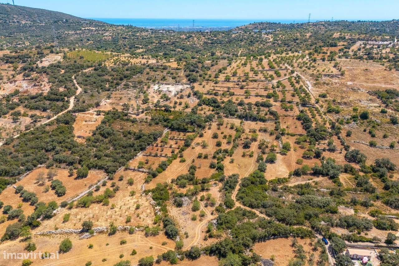 Terreno Rústico com 10280m2, localizado no Serro de Manuel Viegas, Azi - Grande imagem: 3/16