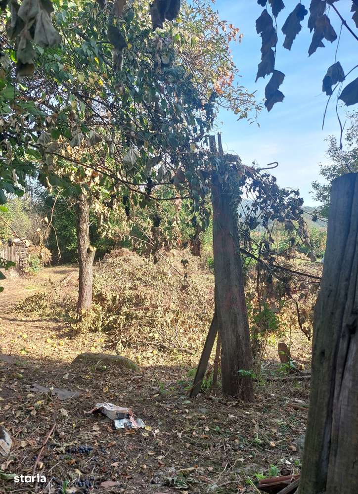 CASĂ DE VÂNZARE 2 CAMERE\ ZĂVOI\ JUD. CARAȘ-SEVERIN-2