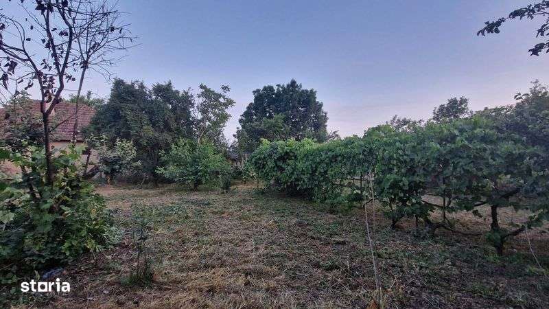 2 Case de vanzare in Tinca (jud. Bihor) - Imagine principală: 4/6