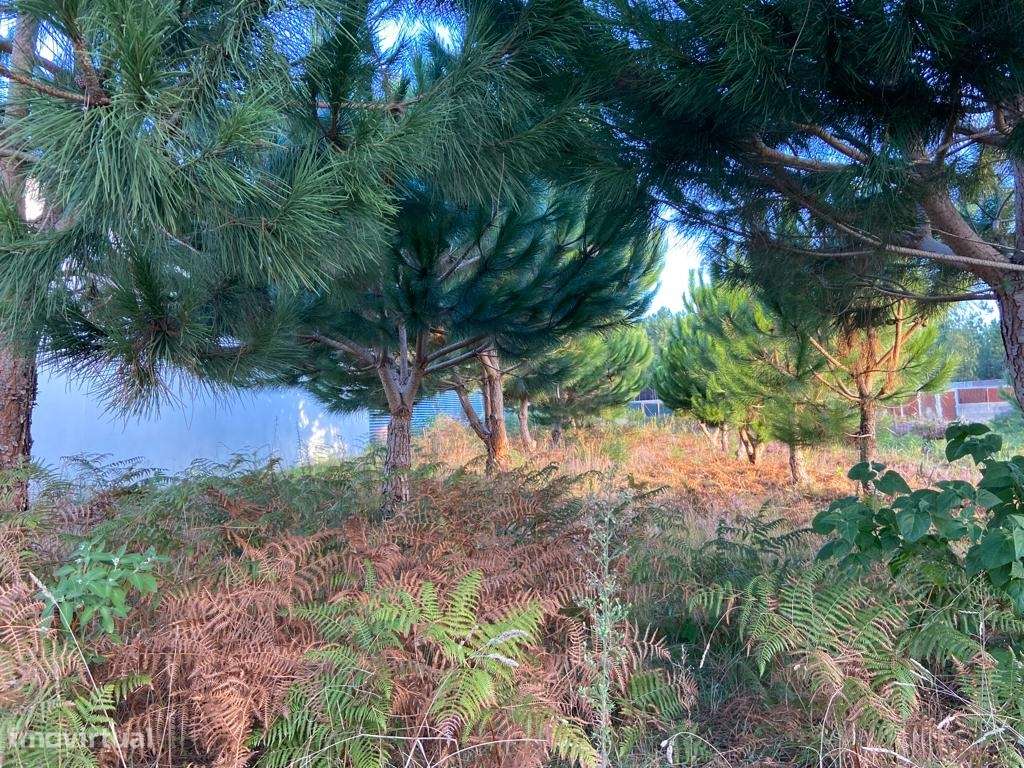Terreno rustico / Lameira / Ortigosa - Grande imagem: 3/5