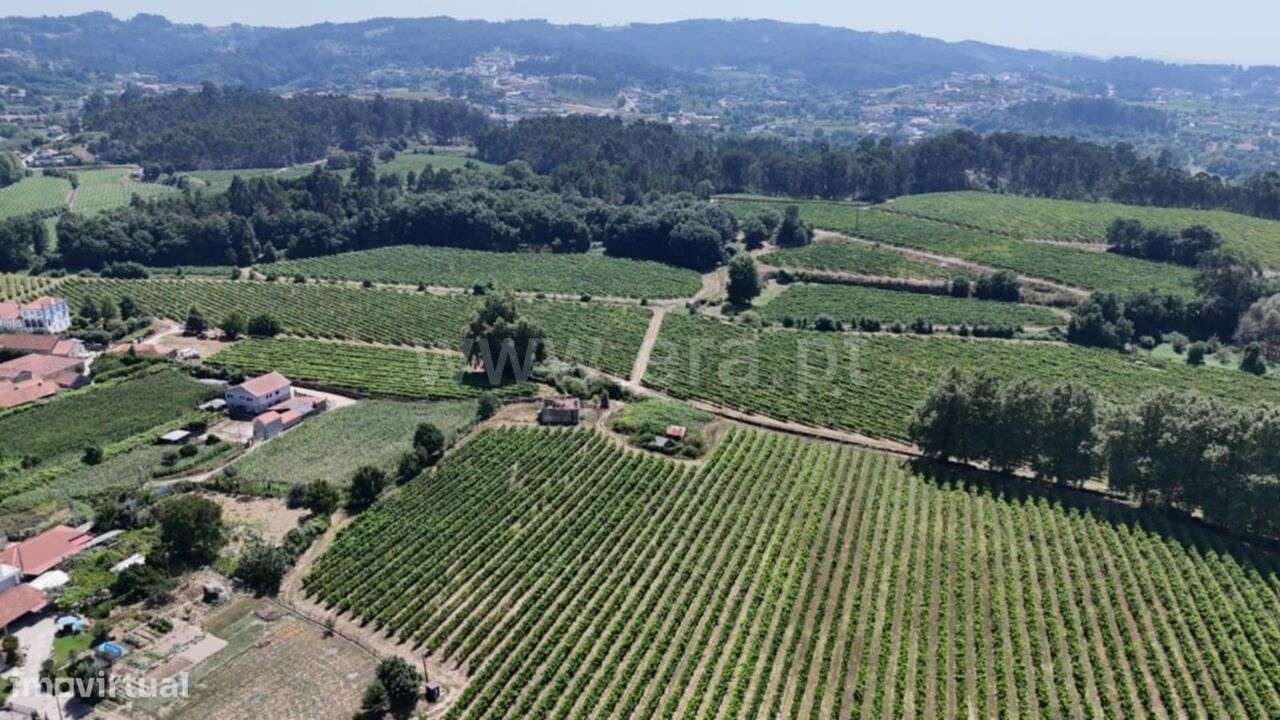 Terreno para Construção / Lousada, Caíde de Rei - Grande imagem: 5/7