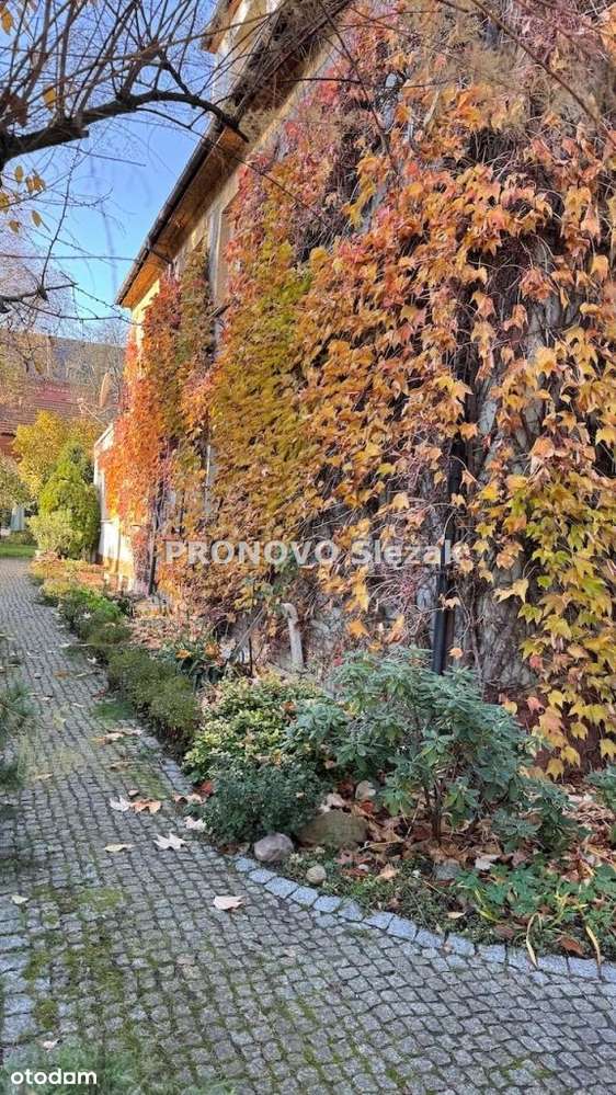 Sprzedam mieszkanie z ogródkiem Karłowice Wrocław - Pełny obrazek: 4/17