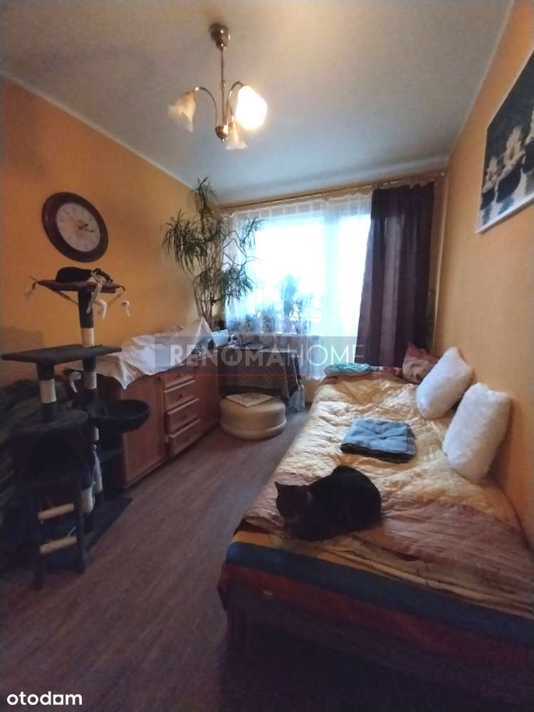 3 pokoje na 1 piętrze! - Pełny obrazek: 4/10