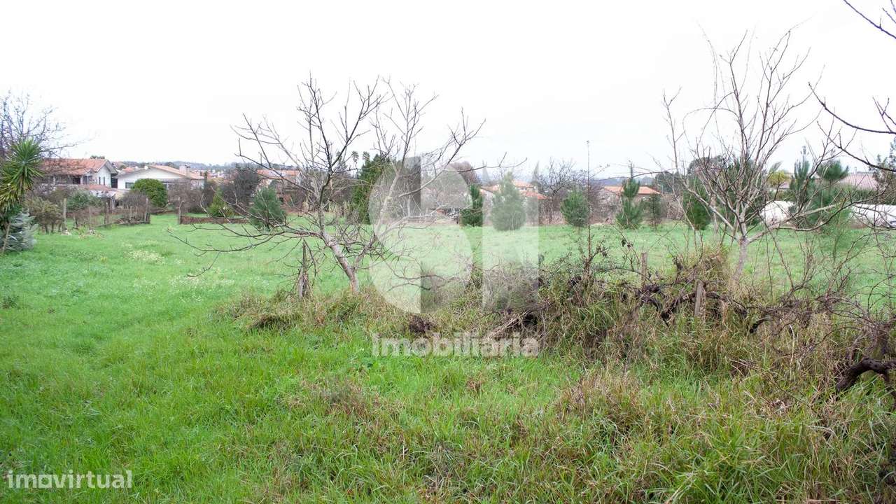 Terreno Urbanizável com 9430 m2 em Vila Verde, Oliveira do Bairro - Grande imagem: 4/9