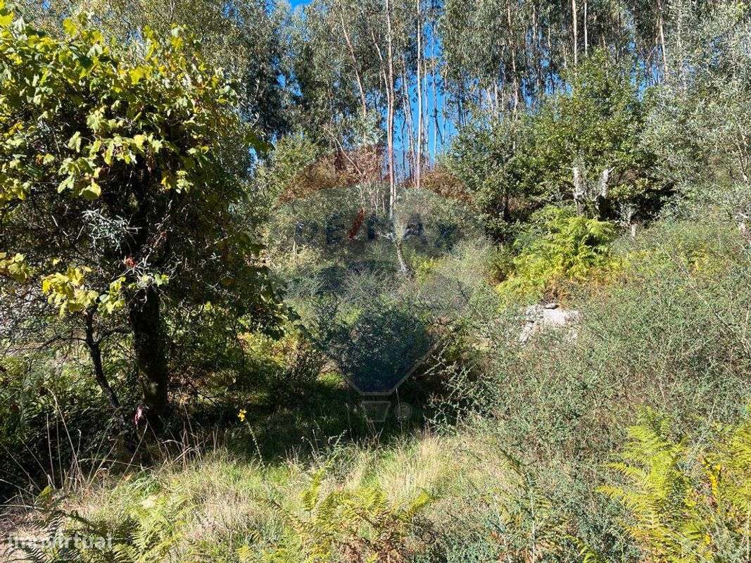 Terreno  para venda - Grande imagem: 4/8