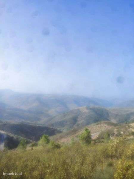 Terreno rústico em Moncorvo - Grande imagem: 3/6