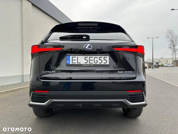 Lexus NX - 12