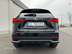 Lexus NX - 12