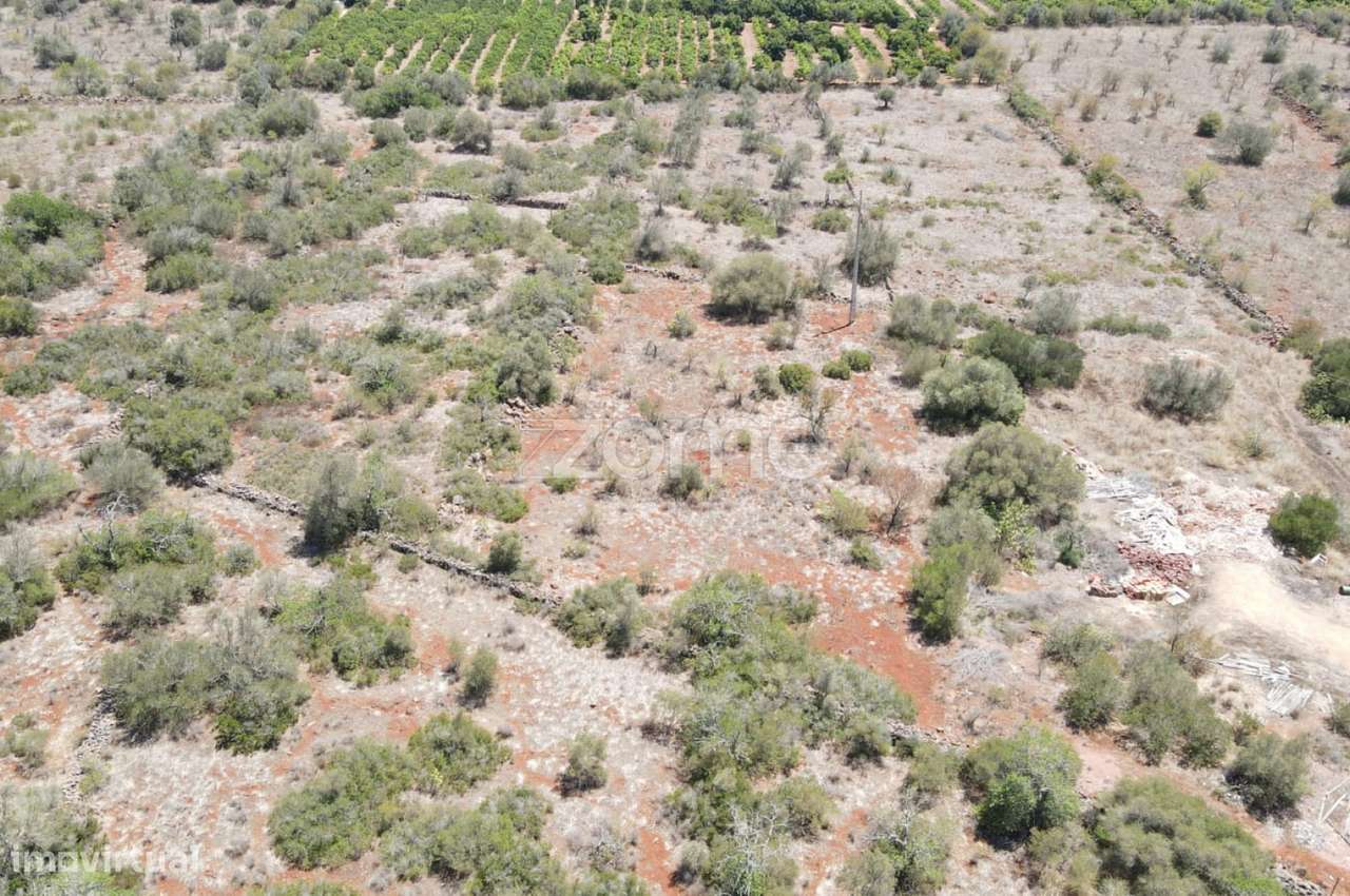Terreno rústico em Messines, Casas Velhas, com 2.960m2 - Grande imagem: 2/18