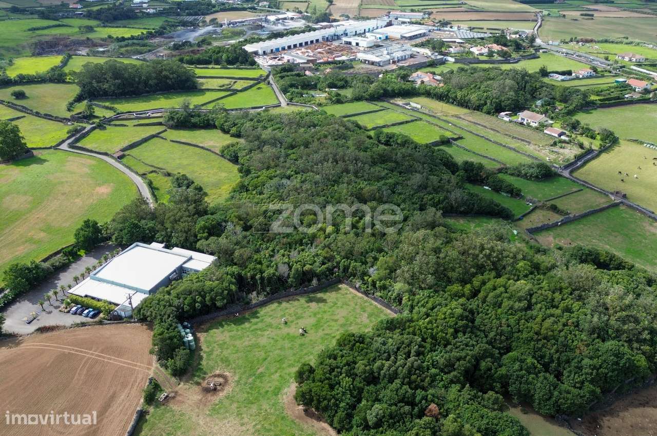 Terreno Urbano 8.360 m² com Vista Mar – Pico do Alho, Ribeira Grand... - Grande imagem: 5/14