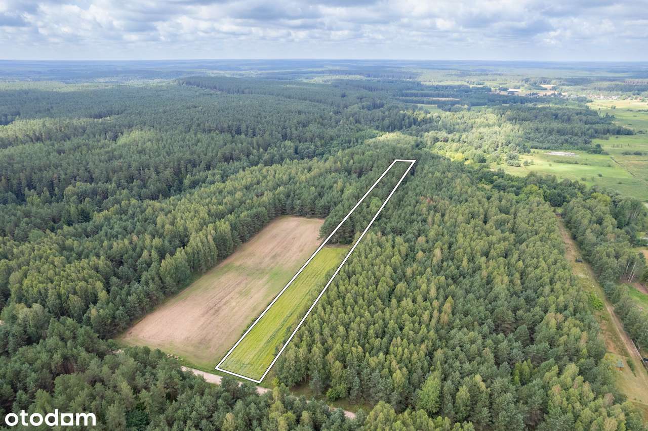 Działka rolno-leśna 12,6ar Wierzchlesie** - Pełny obrazek: 4/6