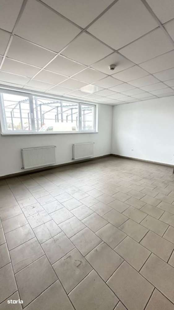 Zona Margeanului HALA industriala +birouri +depozit ! - Imagine principală: 4/12