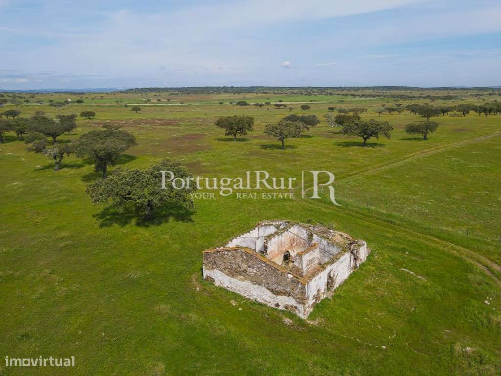 Herdade com 53ha perto do Alandroal - Grande imagem: 4/24