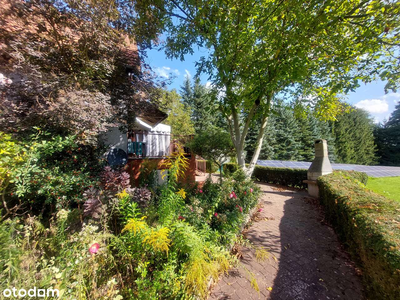 rezydencja nad jeziorem, agroturystyka , na pensjonat - Pełny obrazek: 5/19