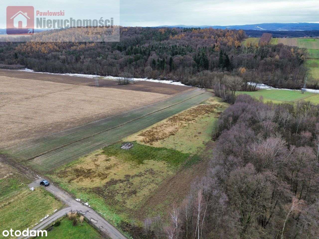 Działka, 6 000 m², Grabie - Pełny obrazek: 4/9
