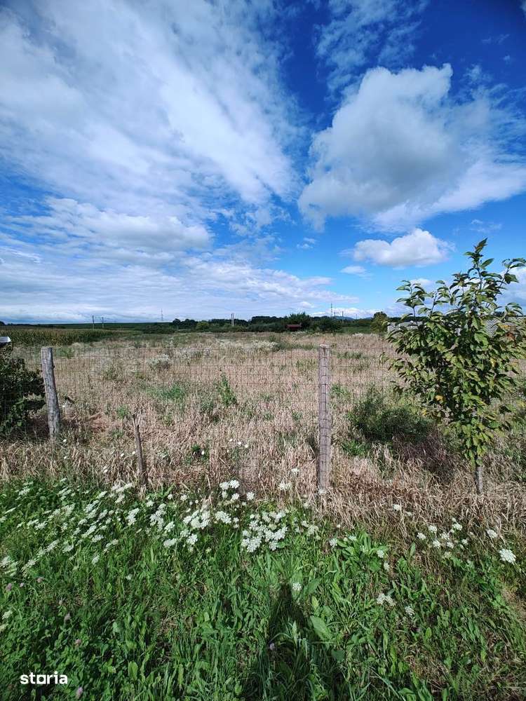 Teren intravilan Bacia,1700 de pătrați, utilitățile in apropiere - Imagine principală: 3/4