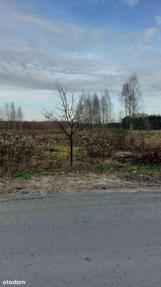 Działka pod budowę na nowym osiedlu pod inwestycje - Pełny obrazek: 2/2