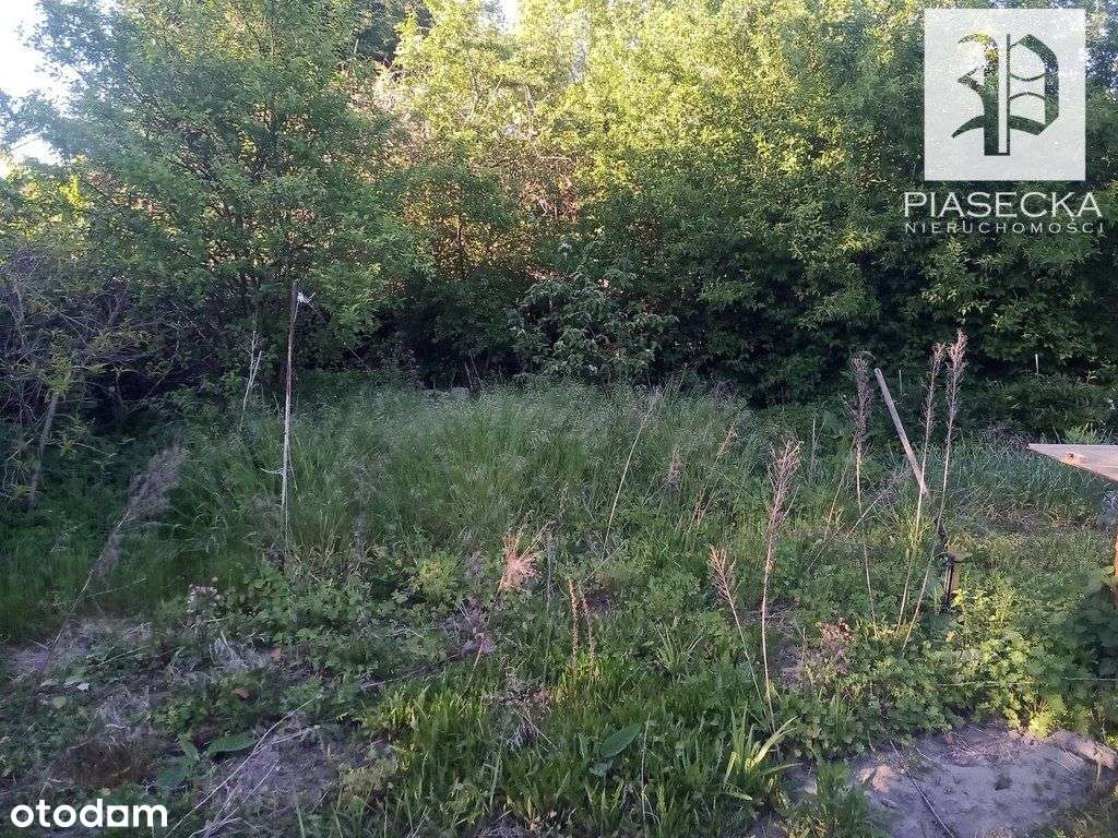 Przestronne mieszkanie z garażem, dużą działką - Pełny obrazek: 4/18