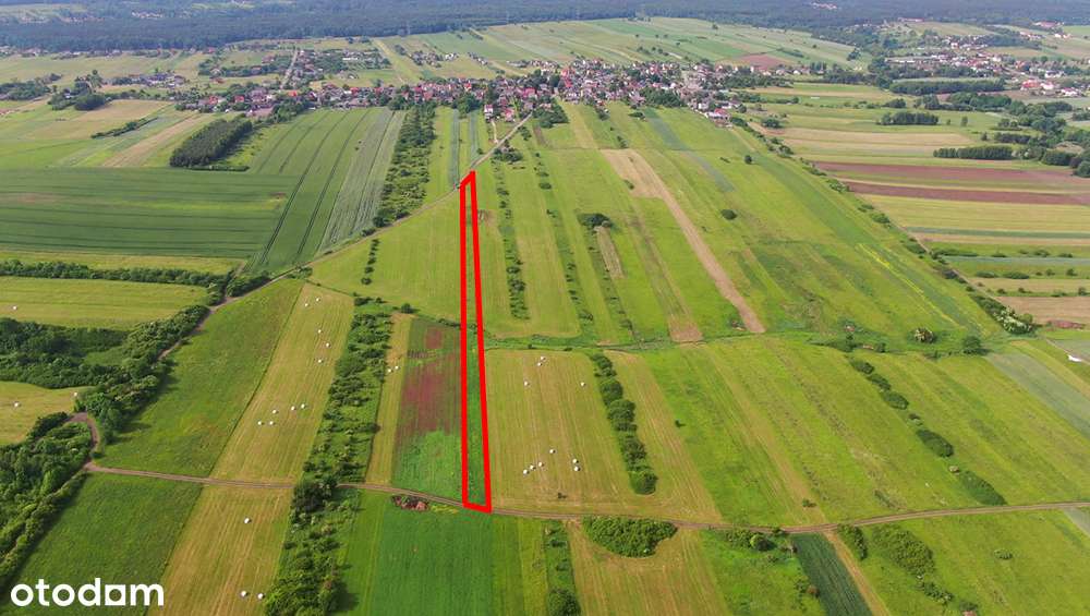 Działka rolna Poręba-Niwki-5