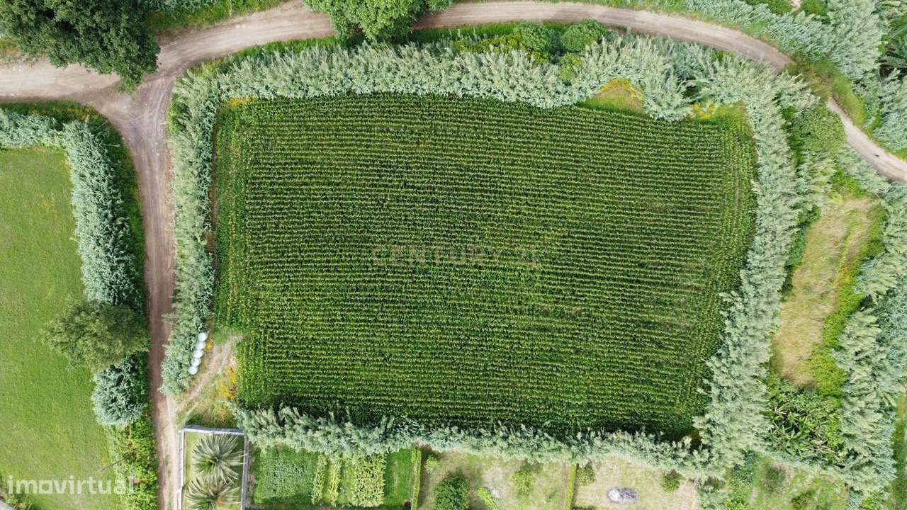 Terreno à Venda com Vista Mar em Candelaria ,Ponta Delgada, São Miguel - Grande imagem: 2/3