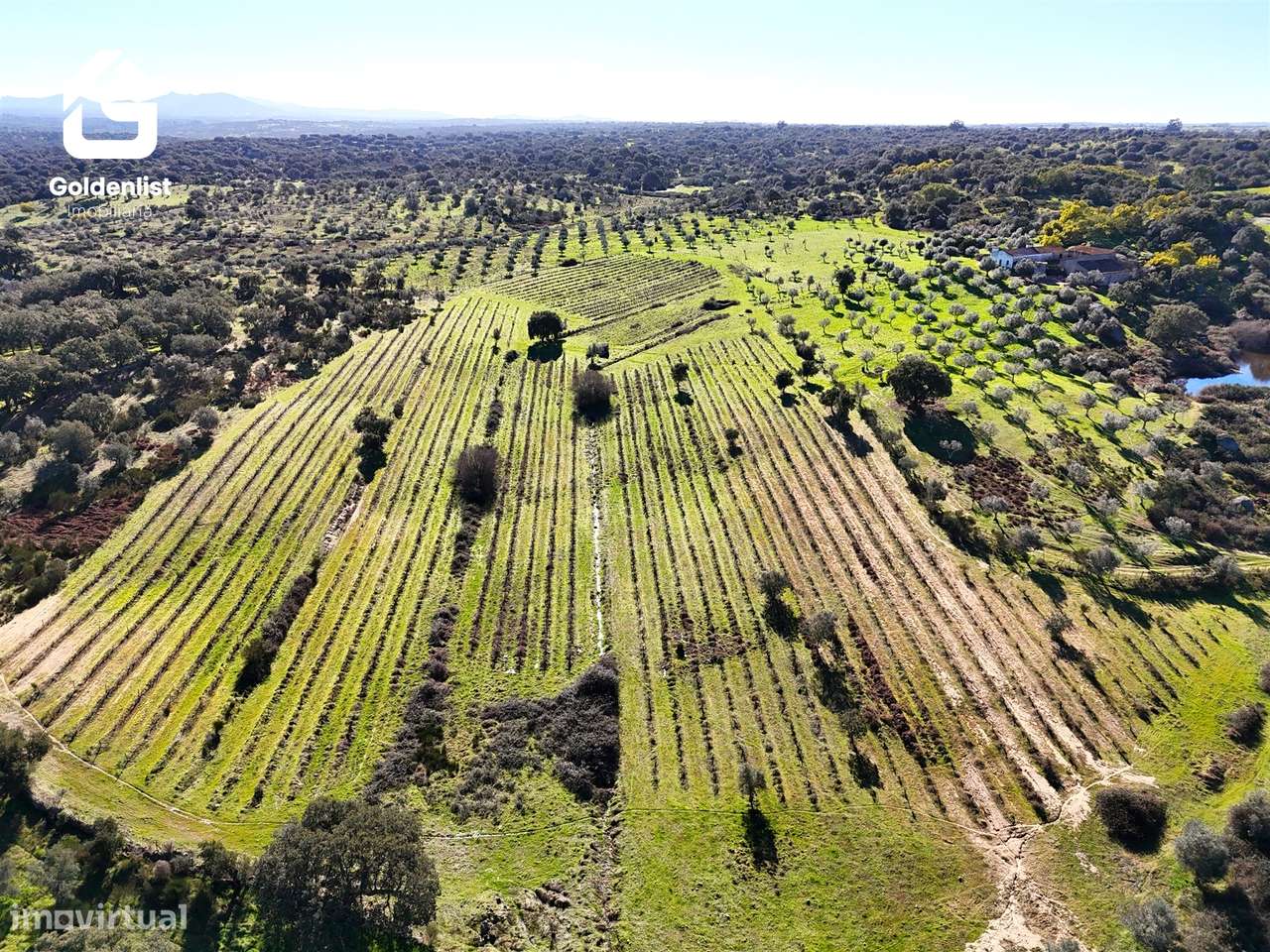 Herdade  Venda em Espírito Santo, Nossa Senhora da Graça e São Simão,N-15