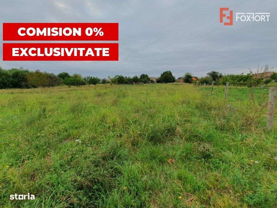 COMISION 0% Teren intravilan 2978 mp la sosea | Sanmihaiu German - ID - Imagine principală: 1/16