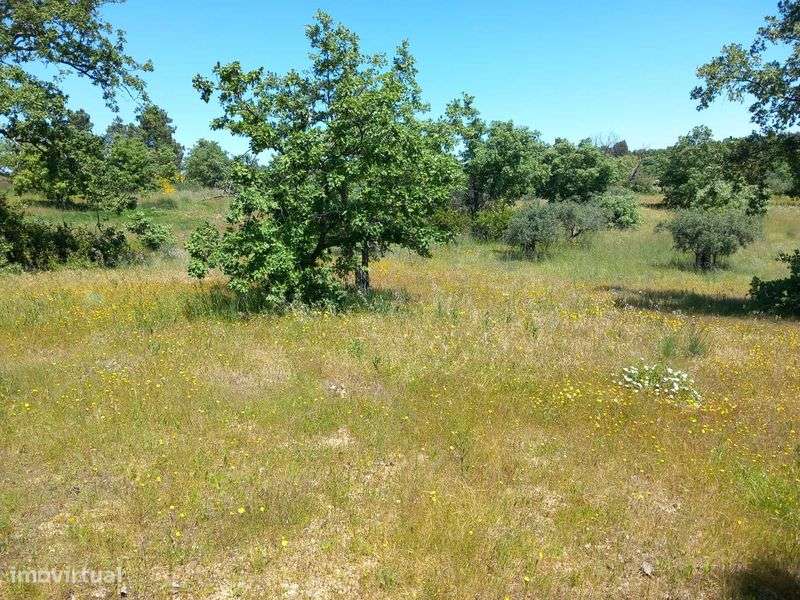 Vende-se quinta c/casa em Orca-Fundão - Grande imagem: 4/8