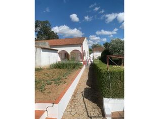 Quinta junto a Montemor-o-novo com 4,6 hectares - Grande imagem: 5/28