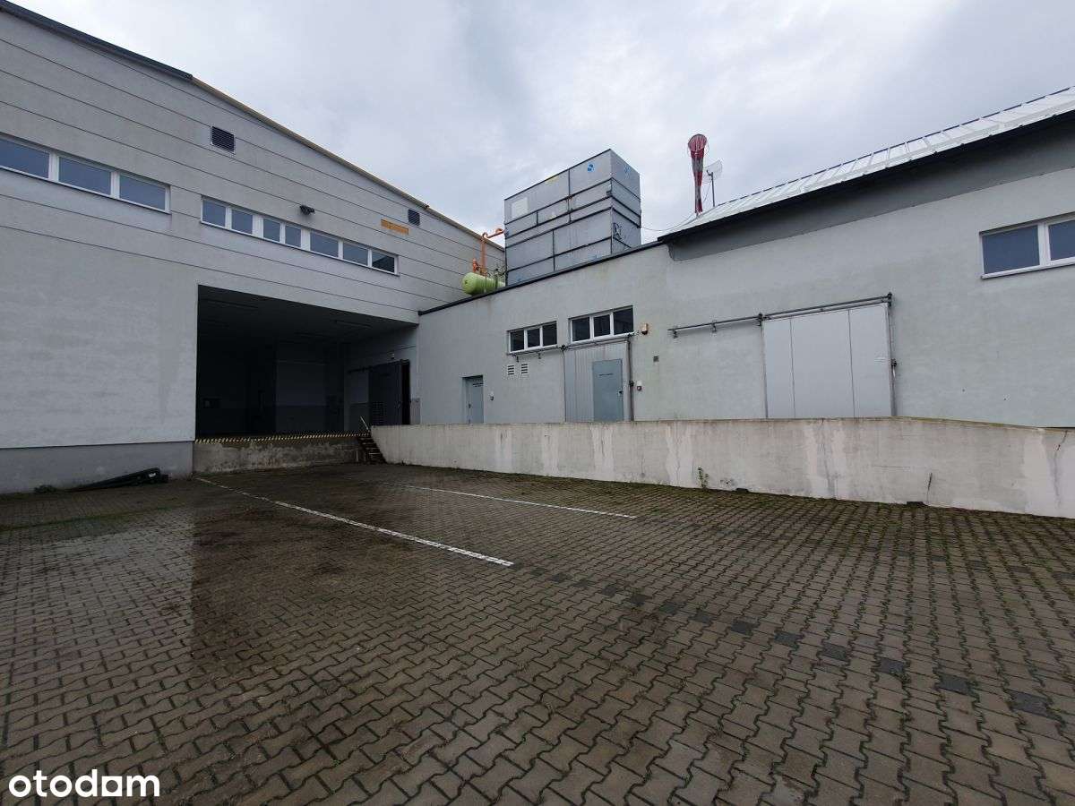Hala magazynowa - mroźnia - na sprzedaż - Pełny obrazek: 5/20