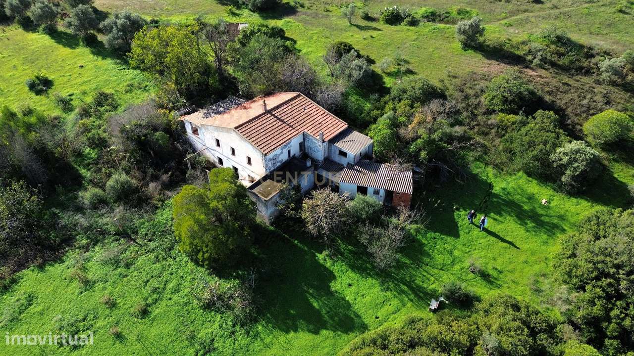 Terreno de 16.970 m2, com artigo urbano e grande potencial de expansão - Grande imagem: 4/13