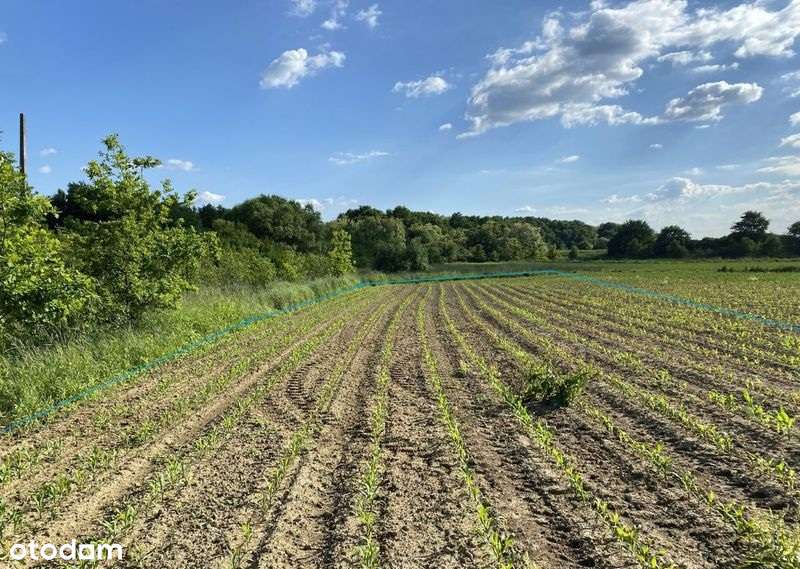 działka REKREACYJNA przy STAWACH 2979m2 możliwa zamiana - Pełny obrazek: 2/9