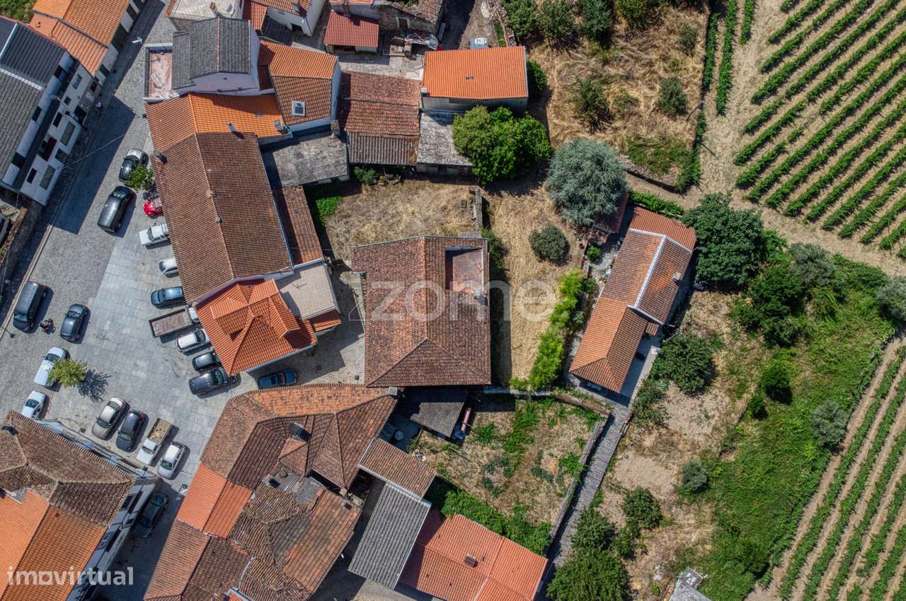 Moradia c/9 divisões, vinha e armazém em Lugar de São Gonçalo, Fava...-33