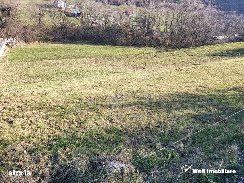 Teren intravilan constructii Tauti-2