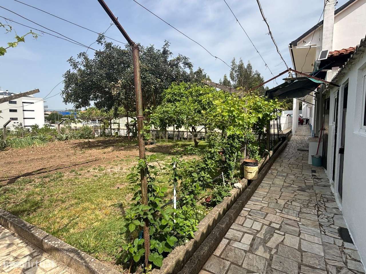 Moradia com Piscina - Entroncamento-29