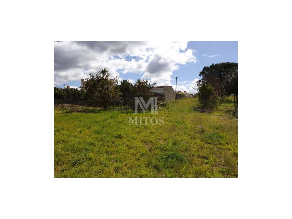 Terreno para construção - Vila Franca - Grande imagem: 4/8