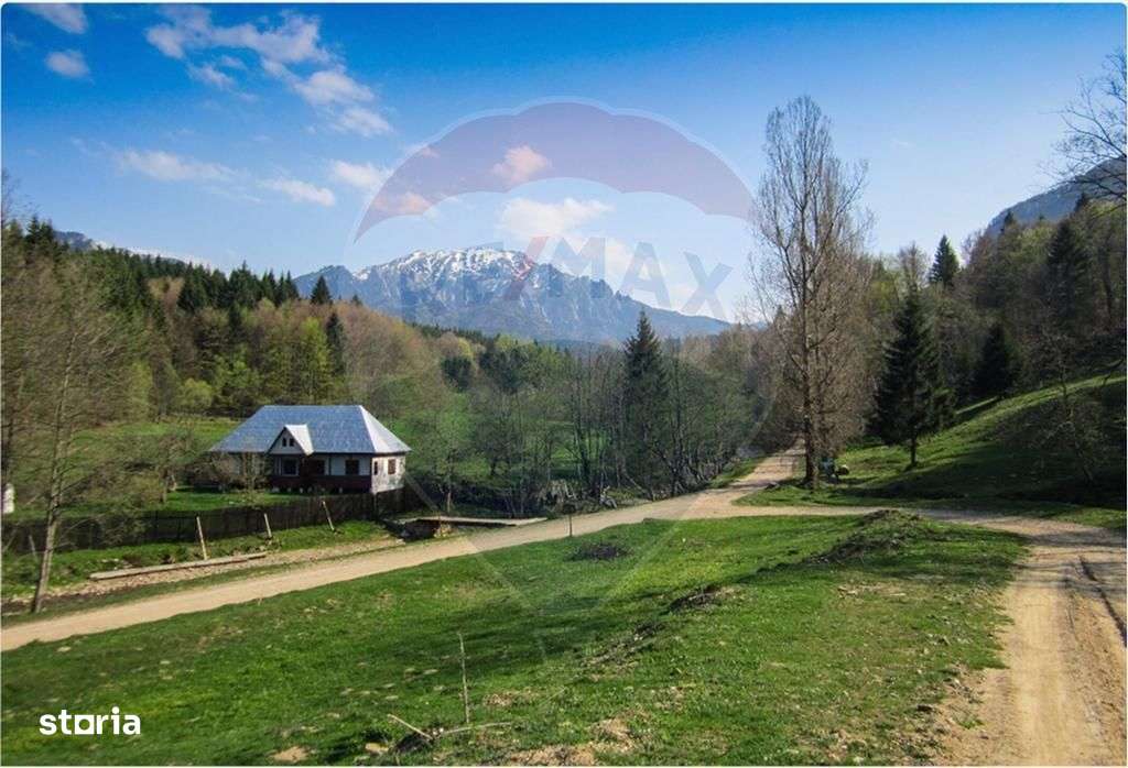 Teren 6000 mp, Vama Buzaului - vedere către Ciucaș - Imagine principală: 4/18