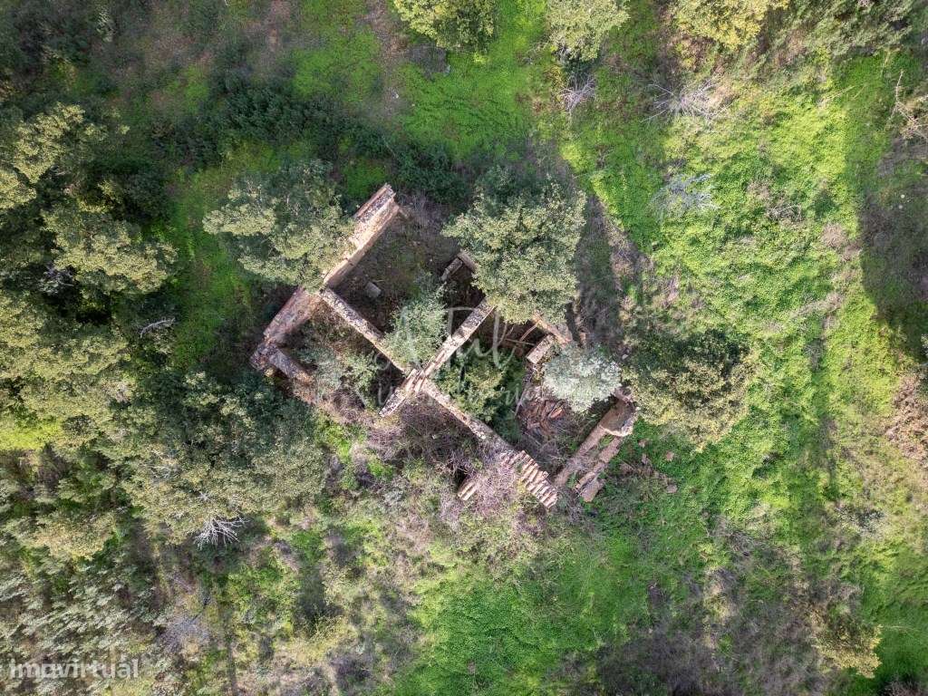 Terreno 8,9h em Santa Cruz - Grande imagem: 4/6