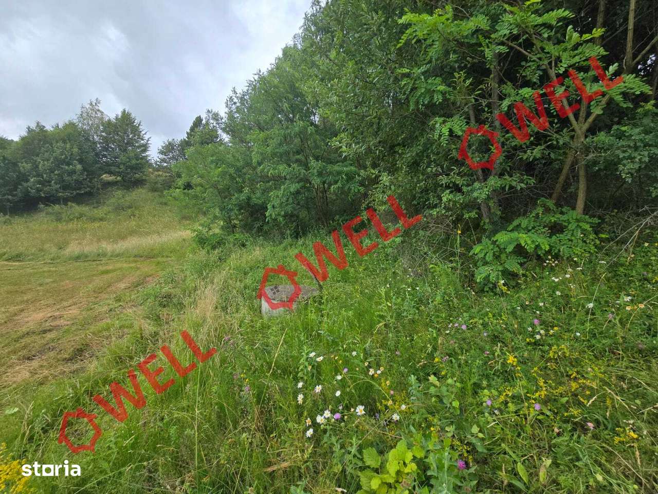 De vânzare teren extravilan loc. Sărămaș! - Imagine principală: 3/9