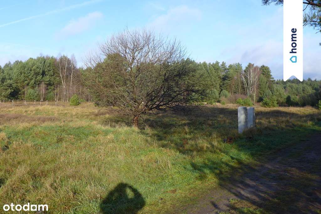 Atrakcyjna działka budowlana w Rybakowie 12 arów - Pełny obrazek: 4/6