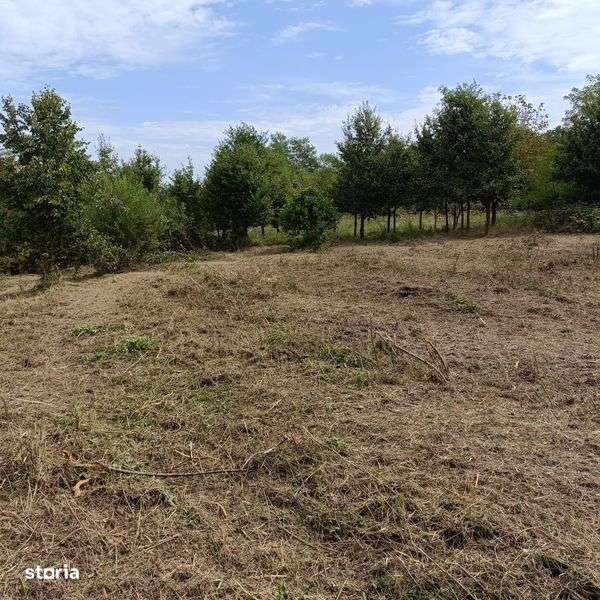 De vanzare teren intravilan zona Teius - Imagine principală: 4/5