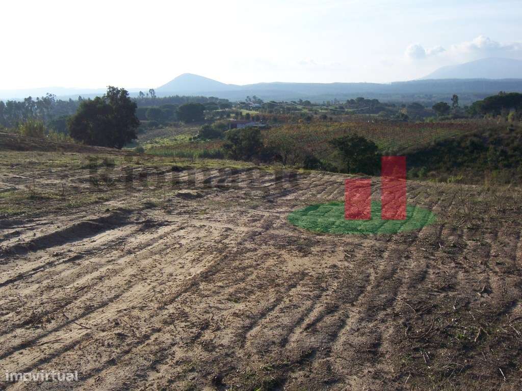 Terreno em Aveiras de Cima***RIOMAGIC*** - Grande imagem: 3/32