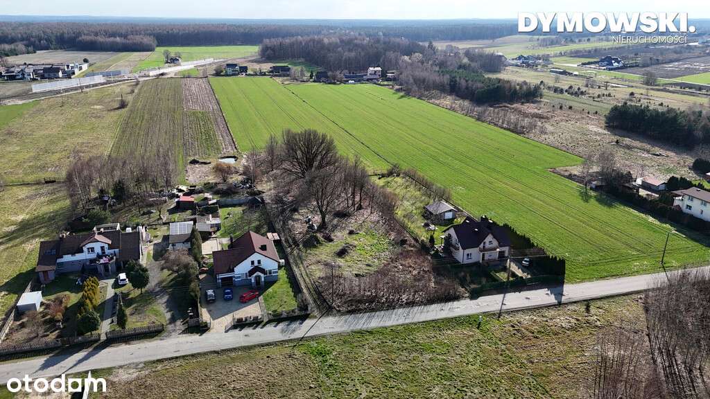 Bieżeń, ul. Zielona | Duża działka budowlana - Pełny obrazek: 4/9