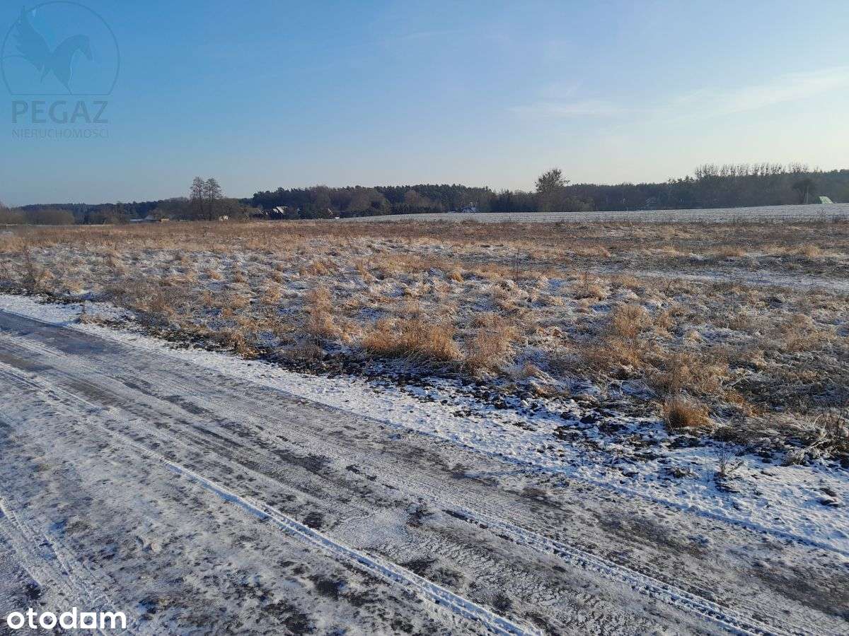 Urokliwe działki budowlane w Kuźniku pod lasem.-4