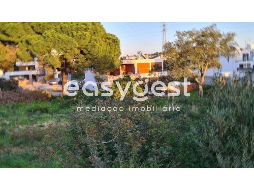 Terreno Quinta da Amizade com projeto aprovado para Moradia T3 - Grande imagem: 5/15