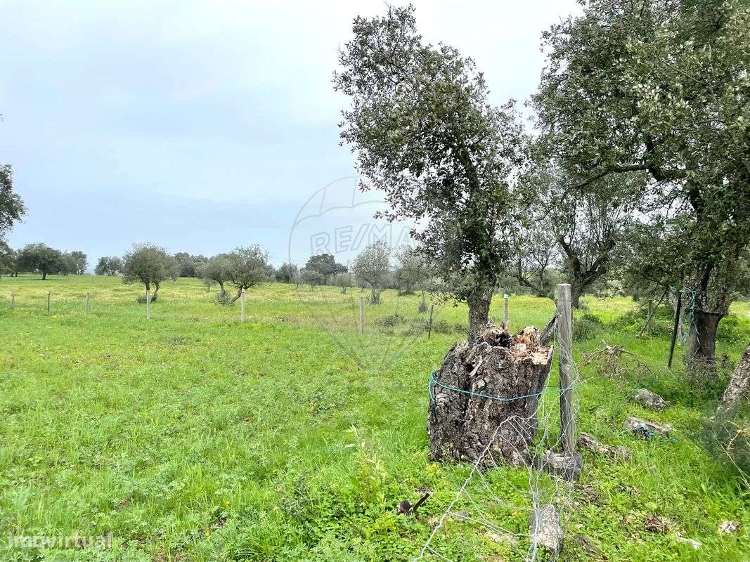 Terreno  para venda - Grande imagem: 4/5