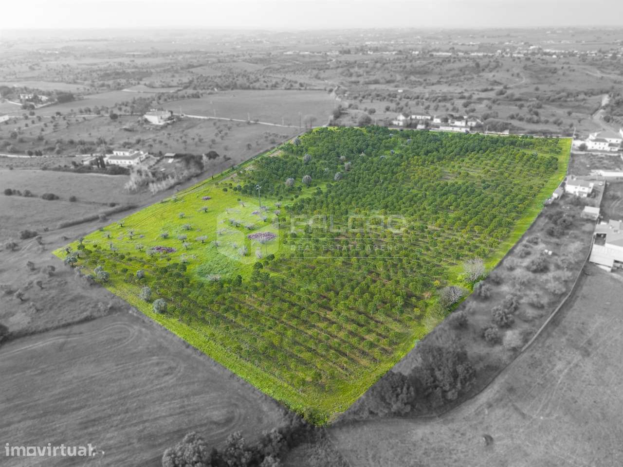 Terreno Rústico  Venda em Romeira e Várzea,Santarém - Grande imagem: 5/16