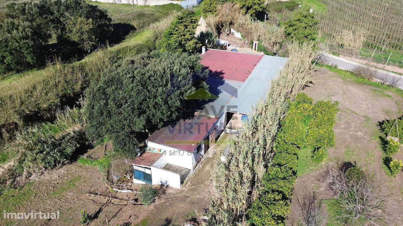 Magnífica Quinta c/ 10.490 m2 Concelho Cadaval-45