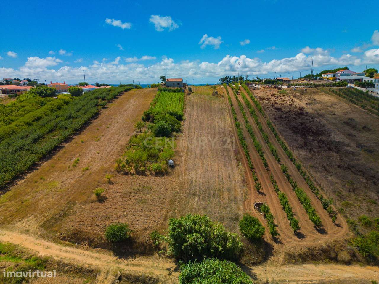 Terreno na Usseira-20