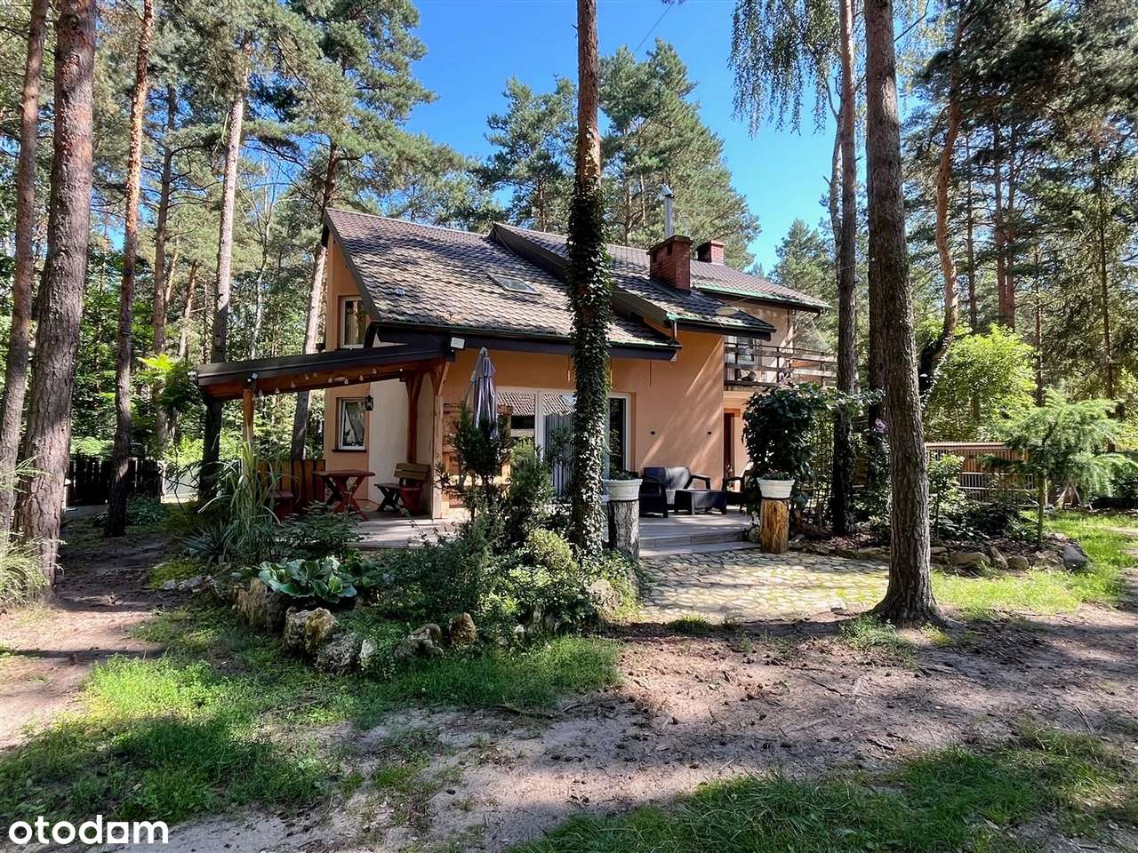 Otoczenie Lasu sosnowego - do zamieszkania-4